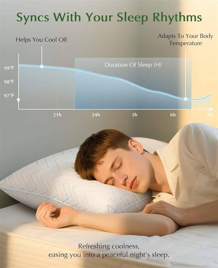 Medium Firm Down Alternative Pillows price